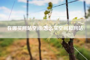 在哪买网站空间(怎么买空间和网站)