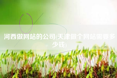 河西做网站的公司(天津做个网站需要多少钱)