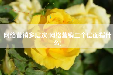 网络营销多层次(网络营销三个层面指什么)