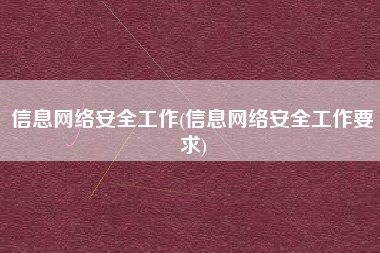 信息网络安全工作(信息网络安全工作要求)