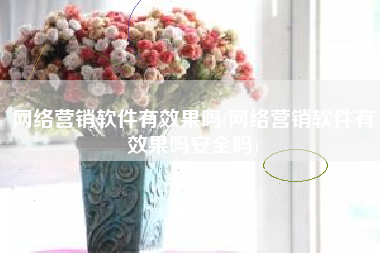 网络营销软件有效果吗(网络营销软件有效果吗安全吗)