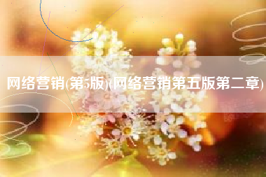 网络营销(第5版)(网络营销第五版第二章)