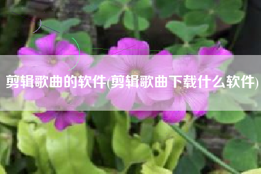 剪辑歌曲的软件(剪辑歌曲下载什么软件)