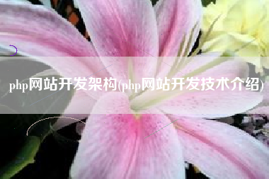 php网站开发架构(php网站开发技术介绍)