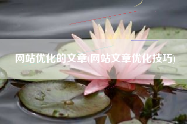 网站优化的文章(网站文章优化技巧)