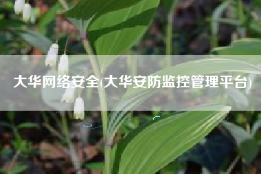 大华网络安全(大华安防监控管理平台)