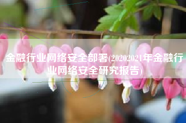 金融行业网络安全部署(20202021年金融行业网络安全研究报告)