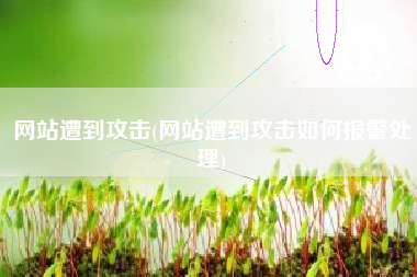 网站遭到攻击(网站遭到攻击如何报警处理)