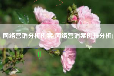 网络营销分析例案(网络营销案例并分析)