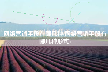 网络营销手段有哪几种(网络营销手段有哪几种形式)