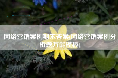 网络营销案例期末答案(网络营销案例分析题万能模板)