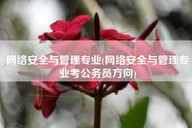 网络安全与管理专业(网络安全与管理专业考公务员方向)