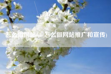 怎么做网站seo(怎么做网站推广和宣传)