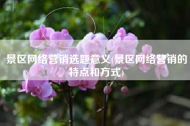 景区网络营销选题意义(景区网络营销的特点和方式)