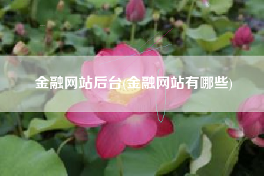 金融网站后台(金融网站有哪些)
