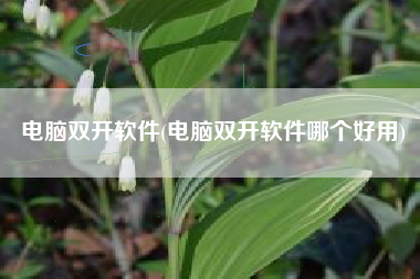 电脑双开软件(电脑双开软件哪个好用)