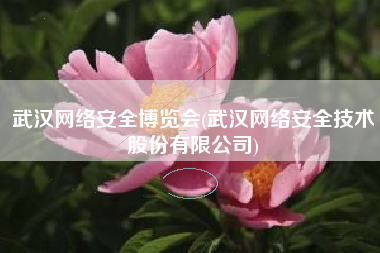 武汉网络安全博览会(武汉网络安全技术股份有限公司)