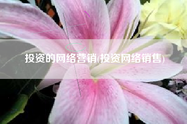 投资的网络营销(投资网络销售)