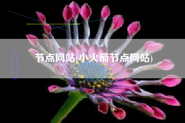 节点网站(小火箭节点网站)