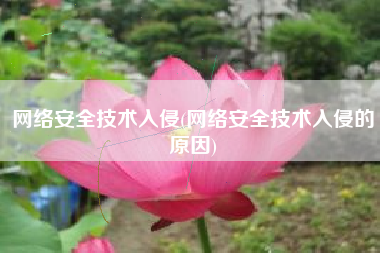网络安全技术入侵(网络安全技术入侵的原因)
