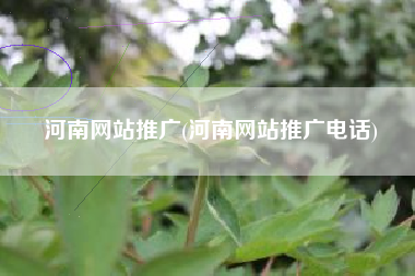 河南网站推广(河南网站推广电话)