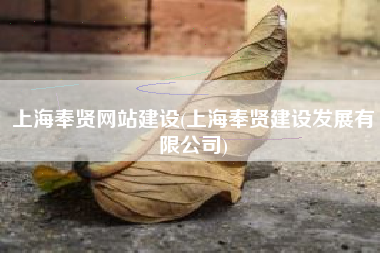 上海奉贤网站建设(上海奉贤建设发展有限公司)