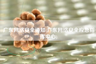广东网络安全通知(广东网络安全应急指挥中心)