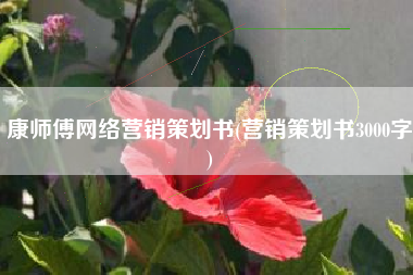 康师傅网络营销策划书(营销策划书3000字)