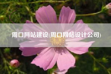 周口网站建设(周口网站设计公司)
