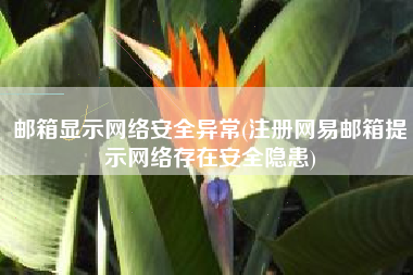 邮箱显示网络安全异常(注册网易邮箱提示网络存在安全隐患)