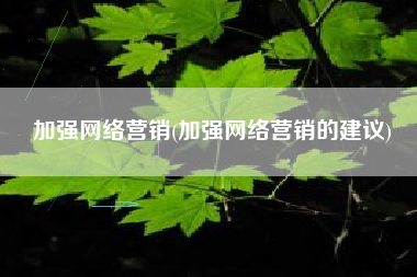 加强网络营销(加强网络营销的建议)
