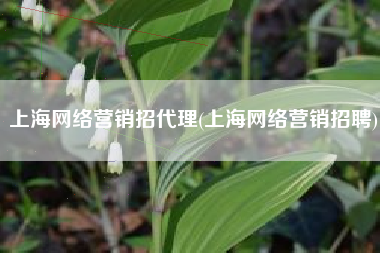 上海网络营销招代理(上海网络营销招聘)