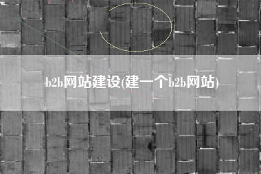 b2b网站建设(建一个b2b网站)
