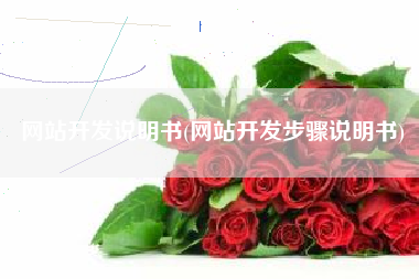 网站开发说明书(网站开发步骤说明书)