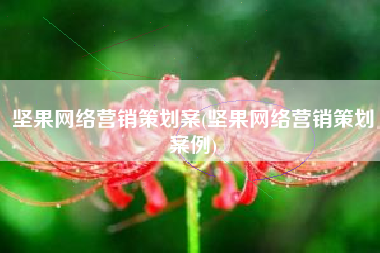 坚果网络营销策划案(坚果网络营销策划案例)