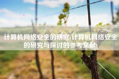 计算机网络安全的研究(计算机网络安全的研究与探讨的参考文献)
