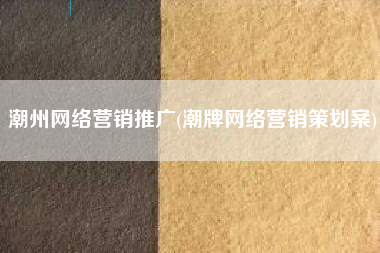 潮州网络营销推广(潮牌网络营销策划案)