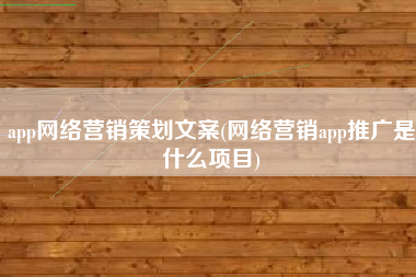 app网络营销策划文案(网络营销app推广是什么项目)
