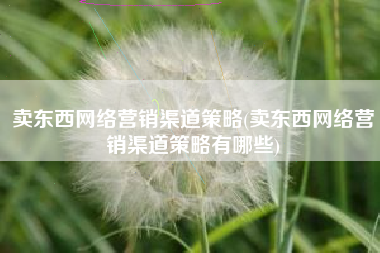 卖东西网络营销渠道策略(卖东西网络营销渠道策略有哪些)