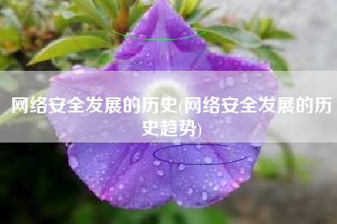 网络安全发展的历史(网络安全发展的历史趋势)