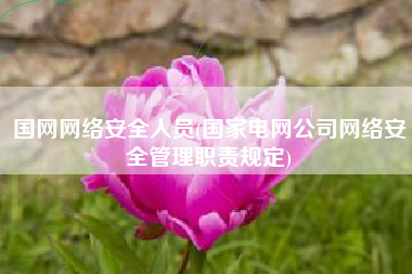 国网网络安全人员(国家电网公司网络安全管理职责规定)