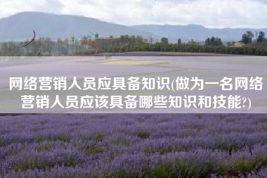 网络营销人员应具备知识(做为一名网络营销人员应该具备哪些知识和技能?)