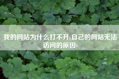 我的网站为什么打不开(自己的网站无法访问的原因)