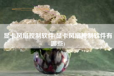 显卡风扇控制软件(显卡风扇控制软件有哪些)