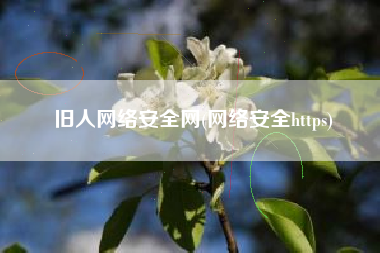旧人网络安全网(网络安全https)