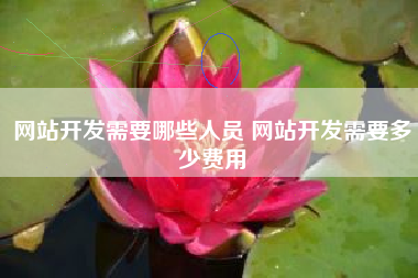 网站开发需要哪些人员 网站开发需要多少费用