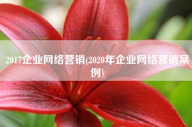 2017企业网络营销(2020年企业网络营销案例)