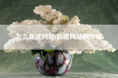 怎么新建网站(新建网站的步骤)