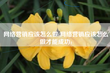 网络营销应该怎么做(网络营销应该怎么做才能成功)