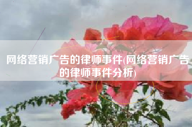 网络营销广告的律师事件(网络营销广告的律师事件分析)